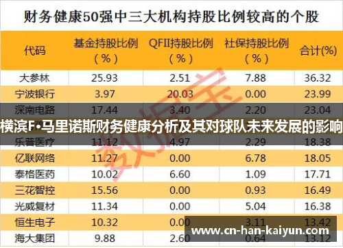 横滨F·马里诺斯财务健康分析及其对球队未来发展的影响 横滨F·马里诺斯财务健康分析及其对球队未来发展的影响