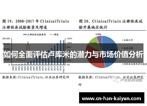 如何全面评估卢库米的潜力与市场价值分析 如何全面评估卢库米的潜力与市场价值分析
